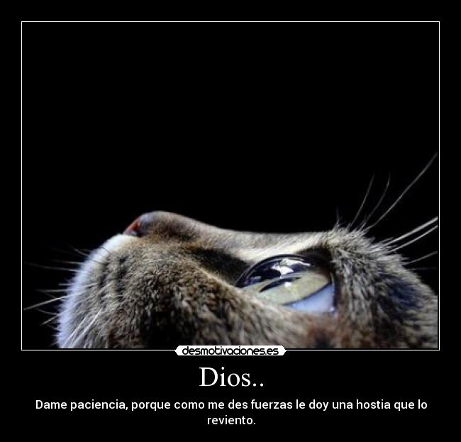Dios.. - Dame paciencia, porque como me des fuerzas le doy una hostia que lo reviento.