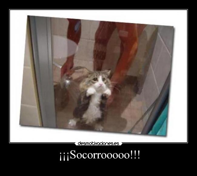 ¡¡¡Socorrooooo!!! -