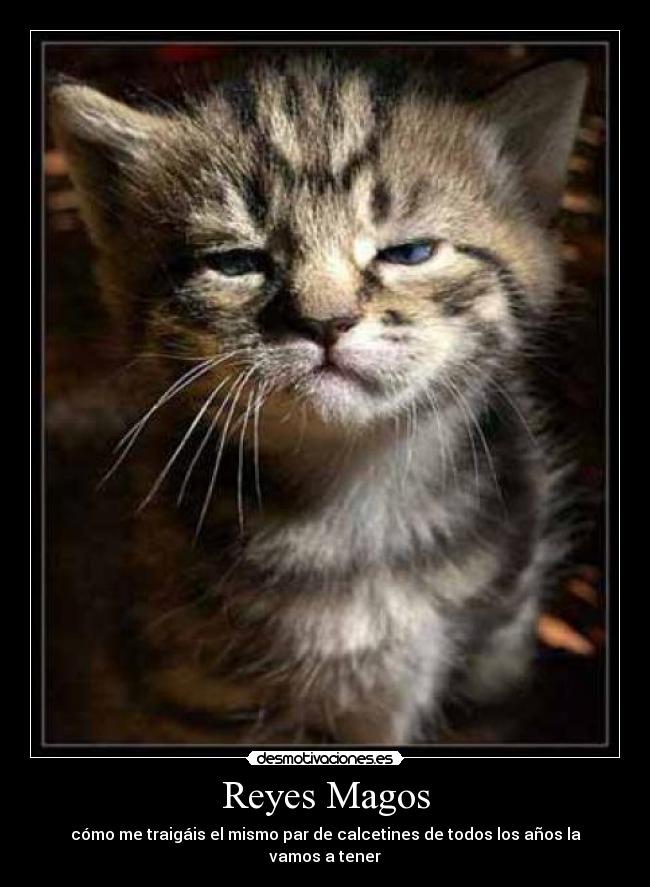 Reyes Magos - cómo me traigáis el mismo par de calcetines de todos los años la vamos a tener