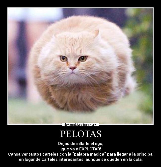 PELOTAS - 