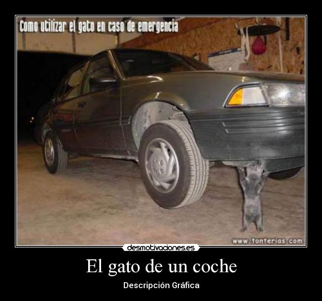 El gato de un coche - 