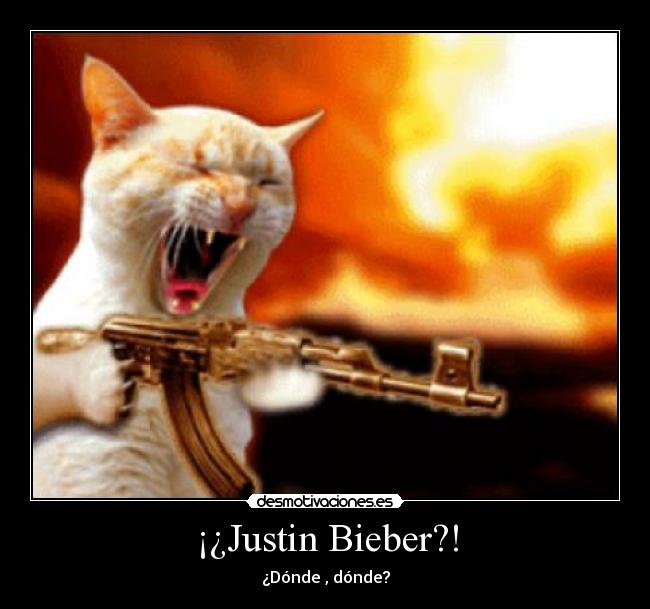 ¡¿Justin Bieber?! - 