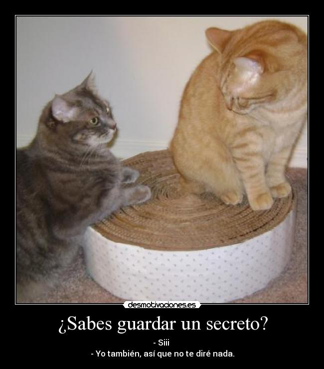 ¿Sabes guardar un secreto? -