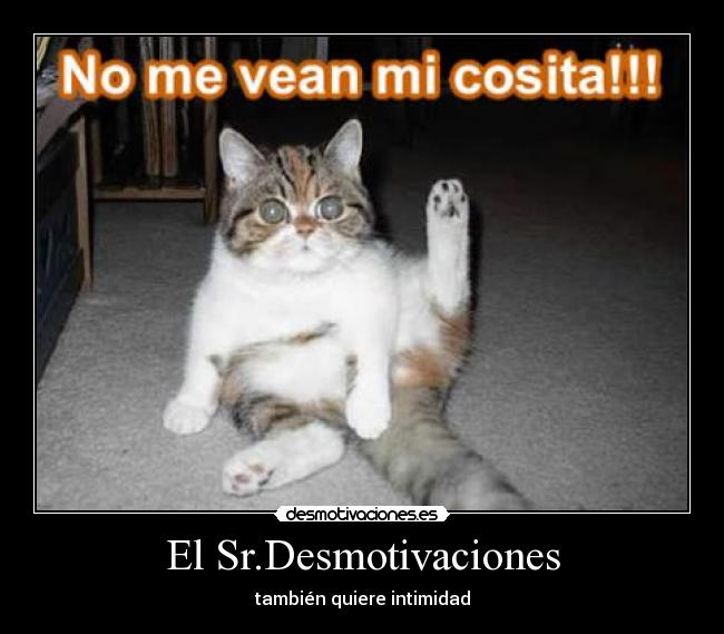 El Sr.Desmotivaciones - también quiere intimidad