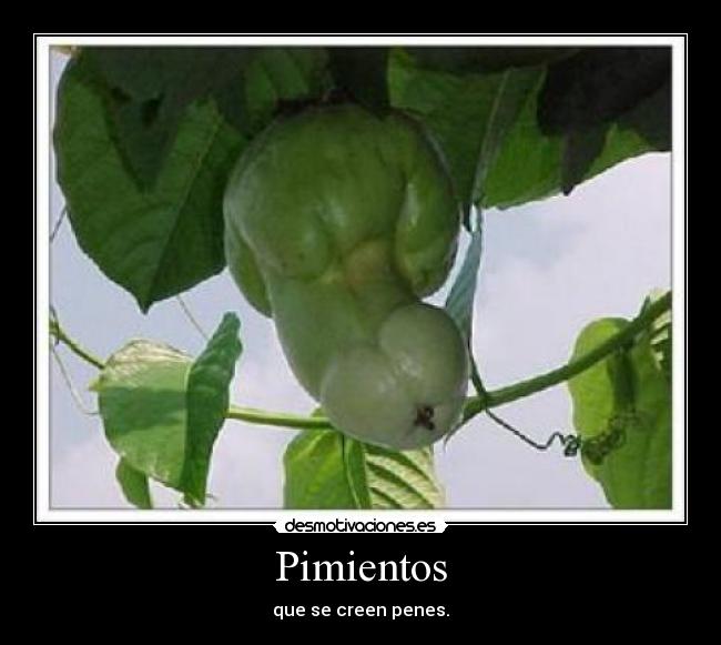 carteles pimientos desmotivaciones