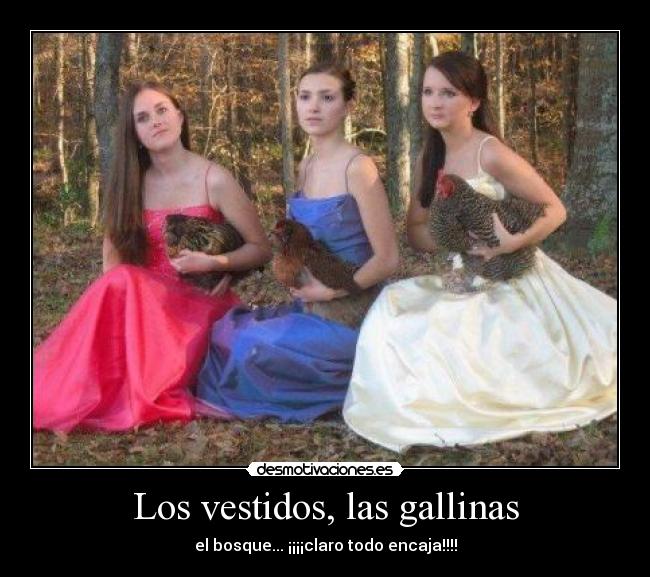 Los vestidos, las gallinas - el bosque... ¡¡¡¡claro todo encaja!!!!