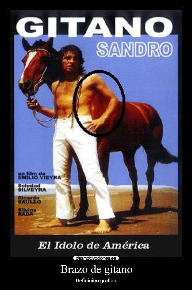 carteles brazo gitano desmotivaciones