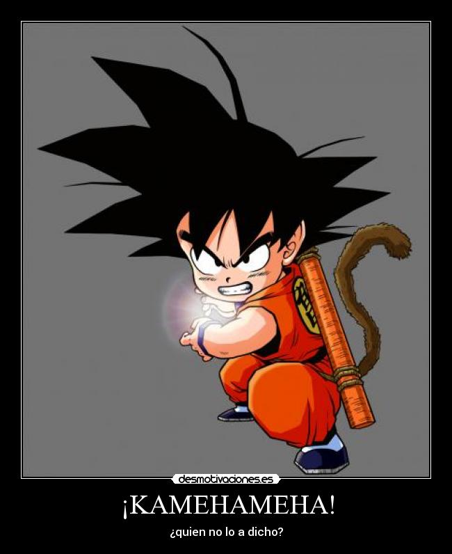 ¡KAMEHAMEHA! -