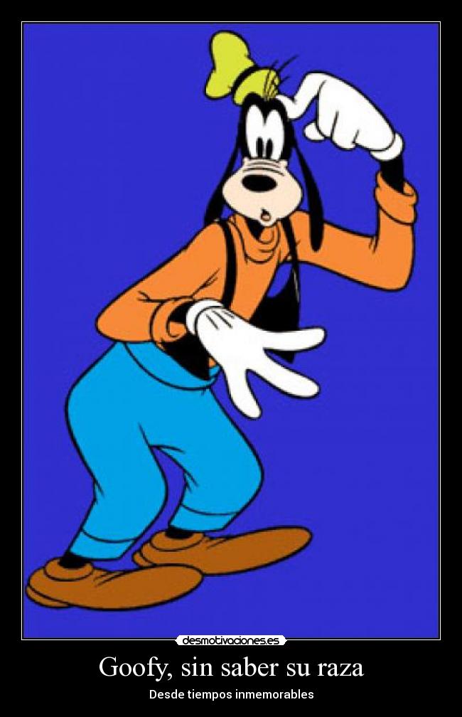 Goofy, sin saber su raza - 