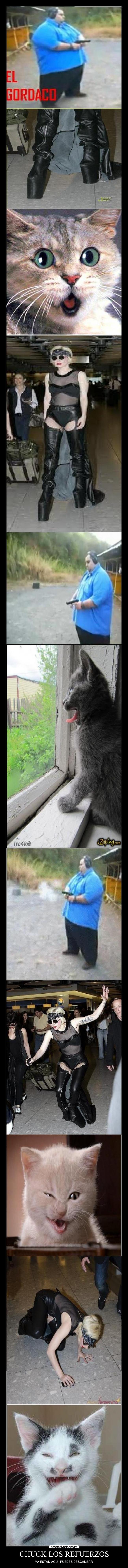 CHUCK LOS REFUERZOS - YA ESTAN AQUI, PUEDES DESCANSAR