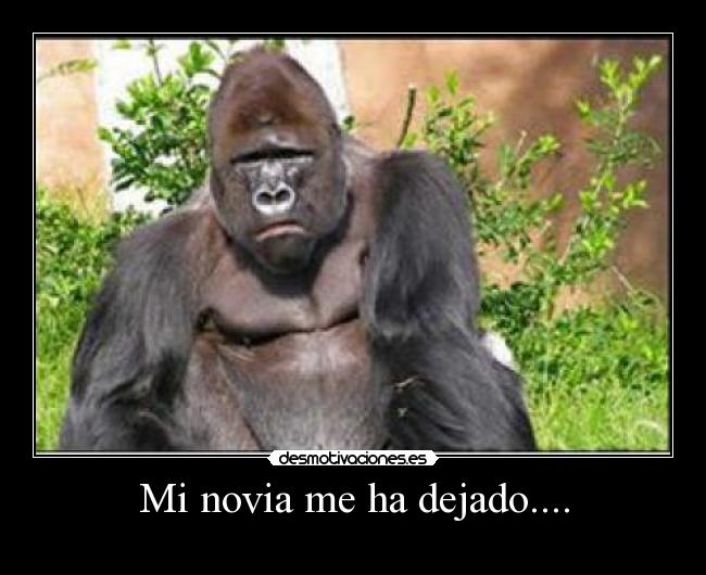 Mi novia me ha dejado.... - 