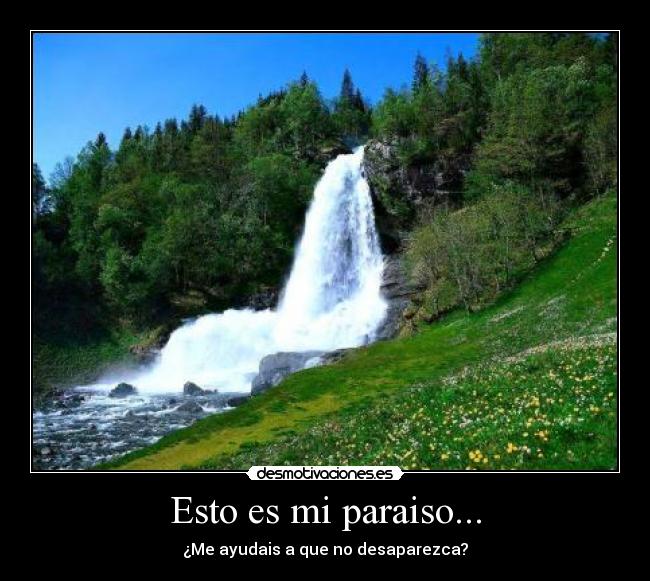 Esto es mi paraiso... -