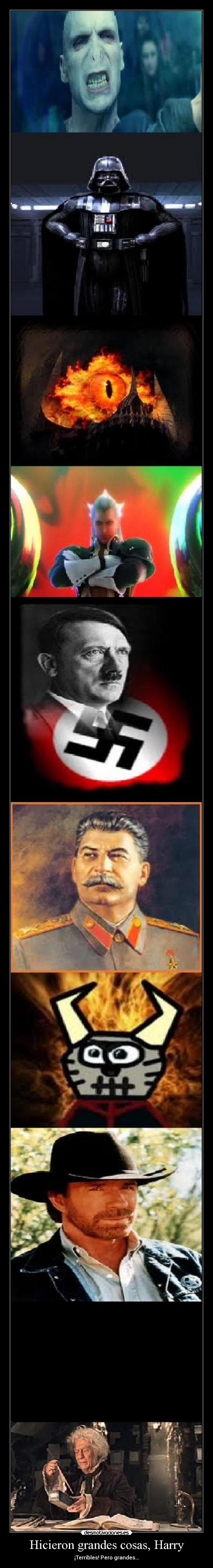 carteles voldemort lord vader sauron ansem hitler stalin sanceporro chuck norris ollivande noru62 desmotivaciones