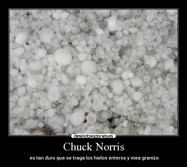 Chuck Norris - es tan duro que se traga los hielos enteros y mea granizo