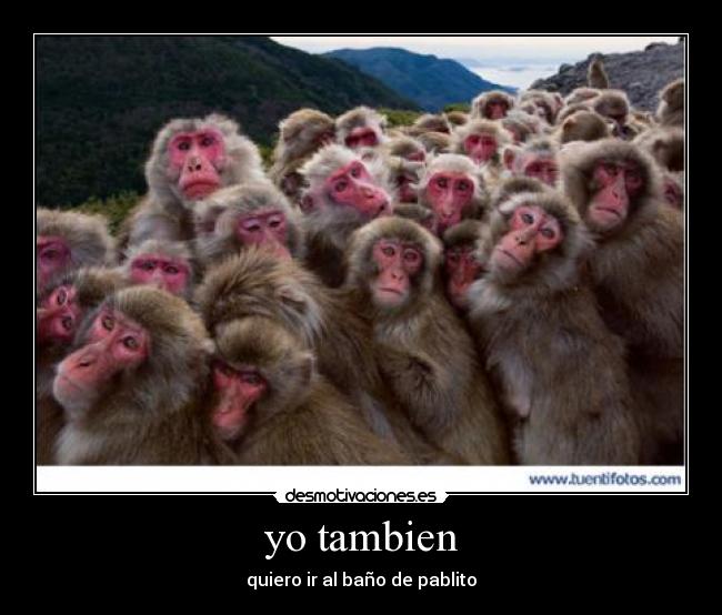 yo tambien - 