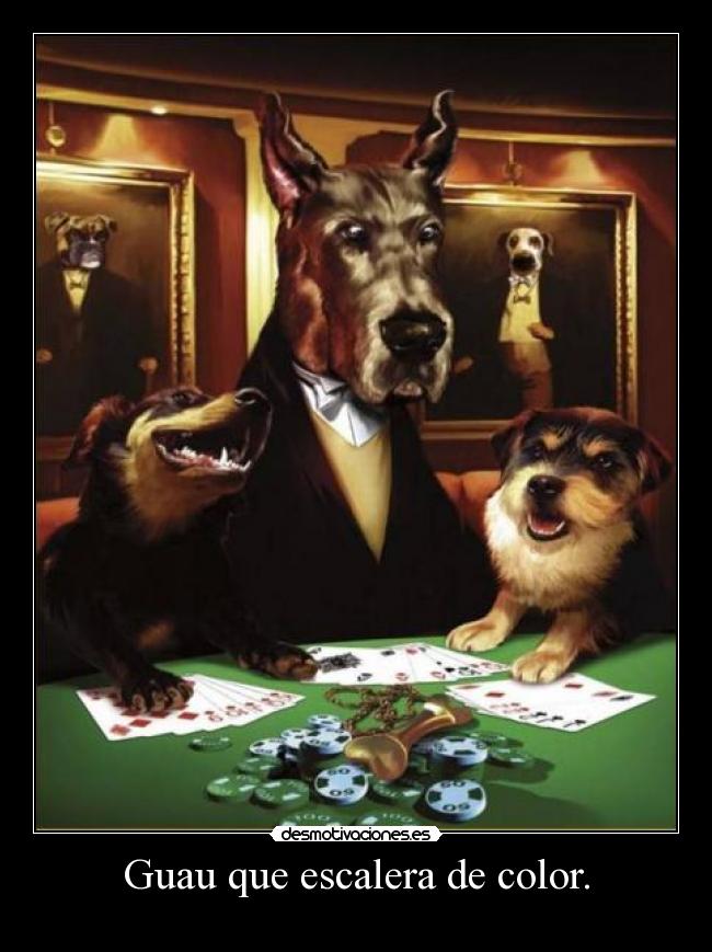 carteles guau que escalera color desmotivaciones