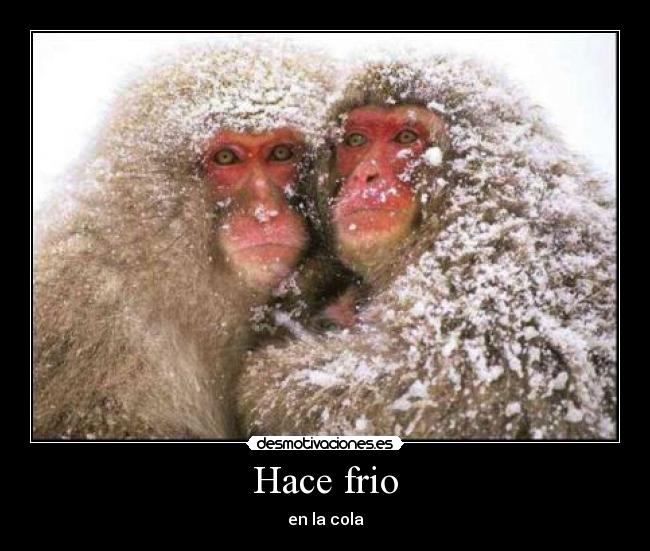 Hace frio - en la cola