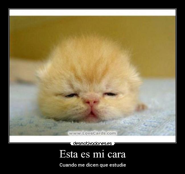 Esta es mi cara - 