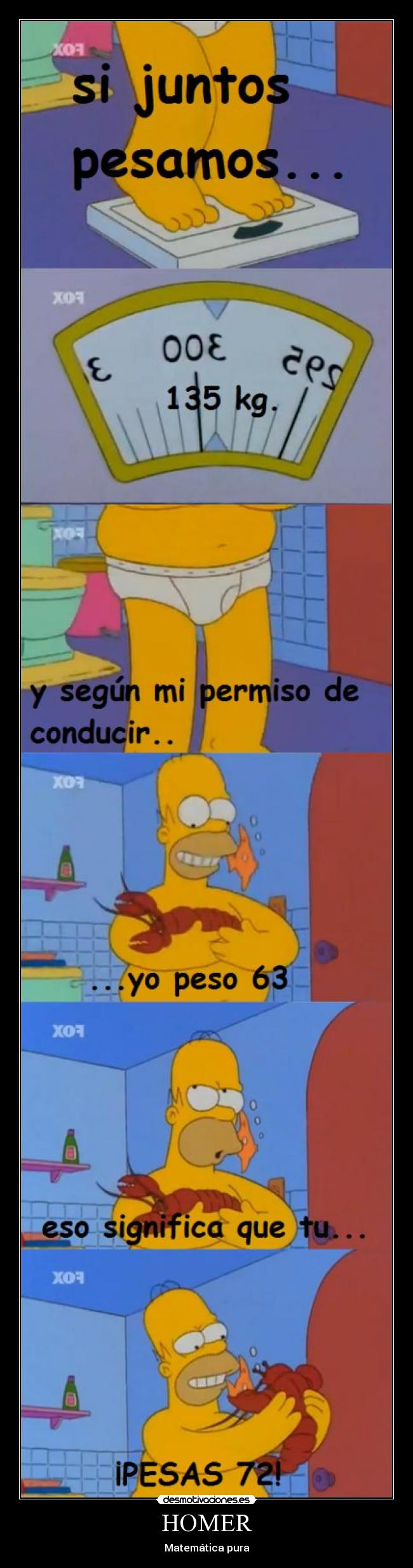 HOMER -