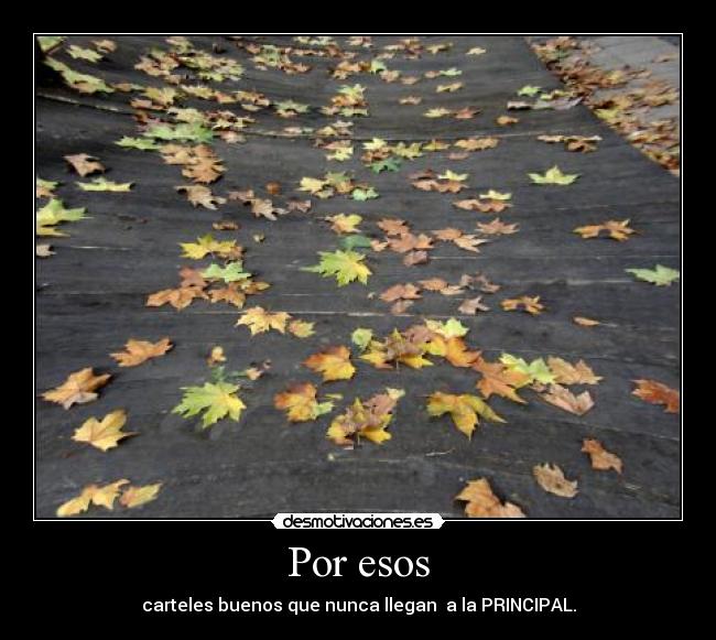 Por esos - carteles buenos que nunca llegan a la PRINCIPAL.