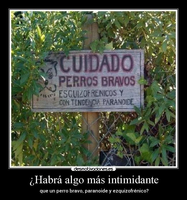 carteles zubair desmotivaciones