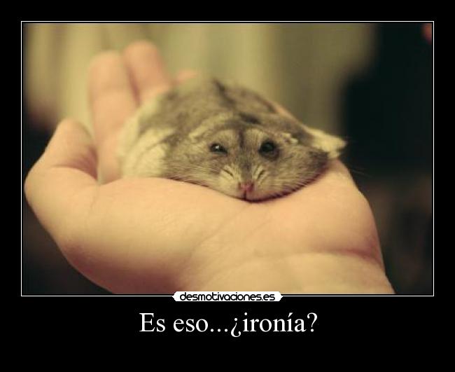 Es eso...¿ironía? -