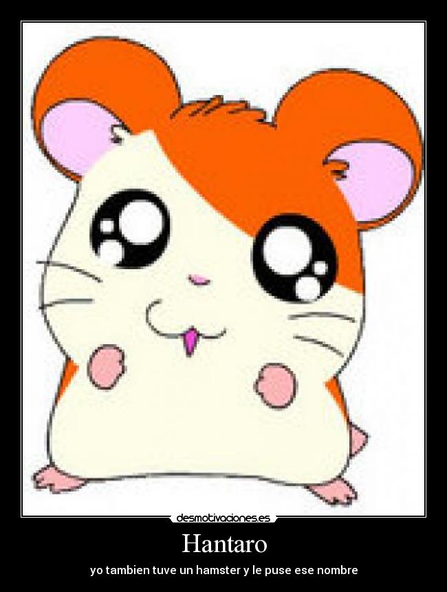 Hantaro - yo tambien tuve un hamster y le puse ese nombre