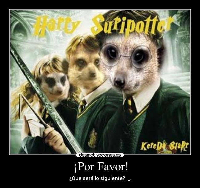 carteles suricato desmotivaciones