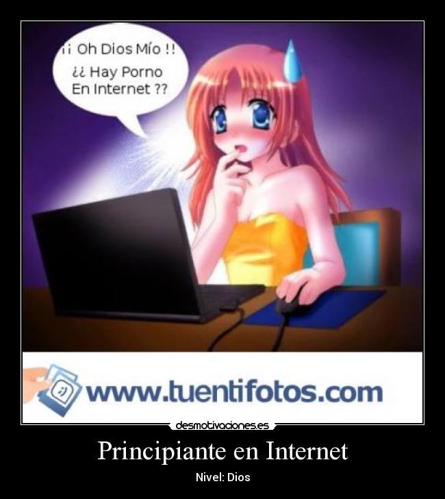 Principiante en Internet - 