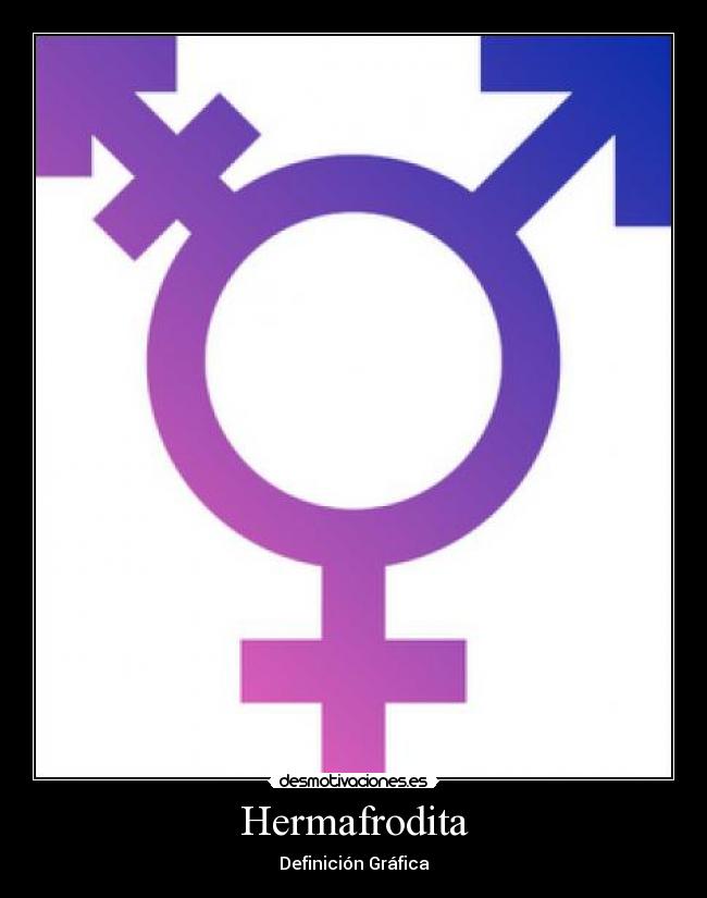 Hermafrodita - 