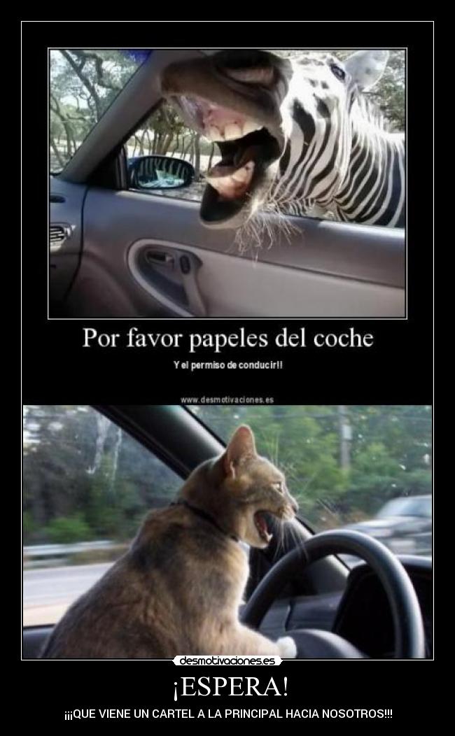 ¡ESPERA! - ¡¡¡QUE VIENE UN CARTEL A LA PRINCIPAL HACIA NOSOTROS!!!