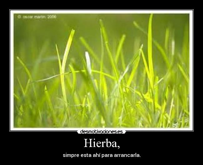 Hierba, - simpre esta ahí para arrancarla.