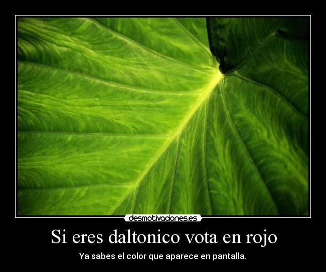 Si eres daltonico vota en rojo -