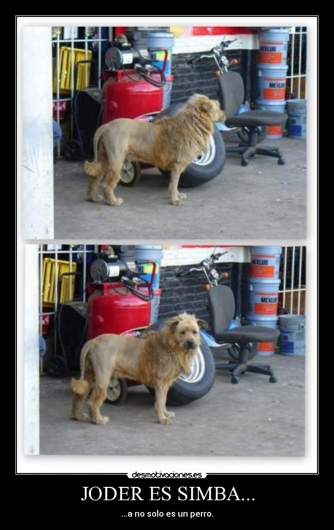 carteles xgorkax desmotivaciones