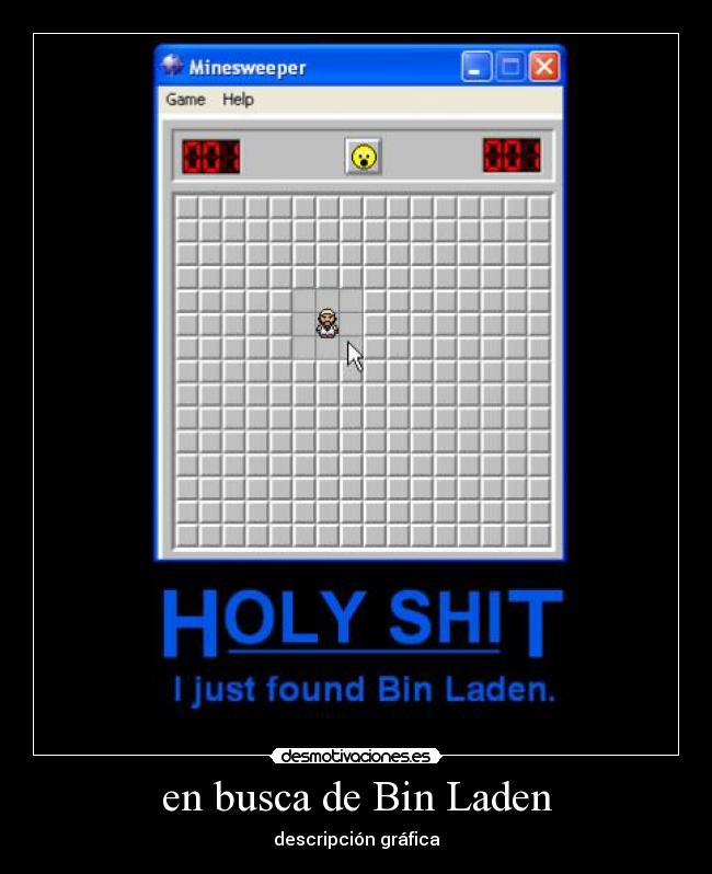 en busca de Bin Laden - descripción gráfica