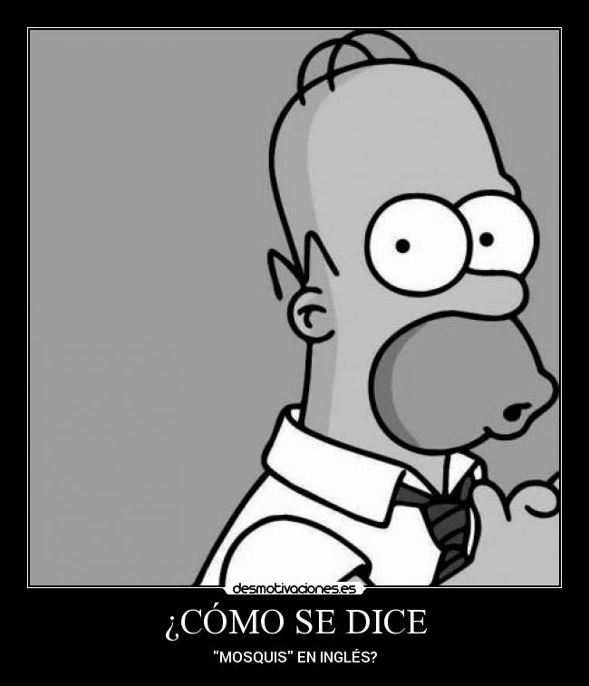 ¿CÓMO SE DICE - 