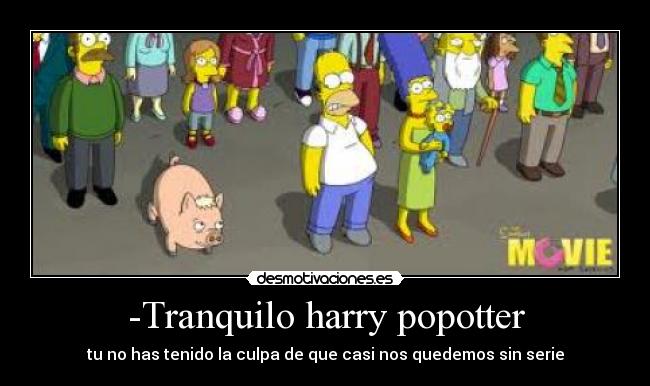 -Tranquilo harry popotter - tu no has tenido la culpa de que casi nos quedemos sin serie