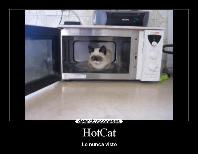 HotCat - 