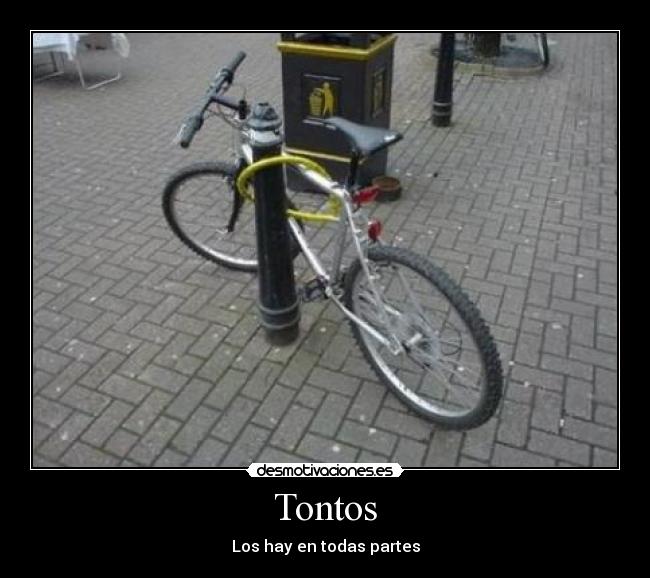 Tontos -