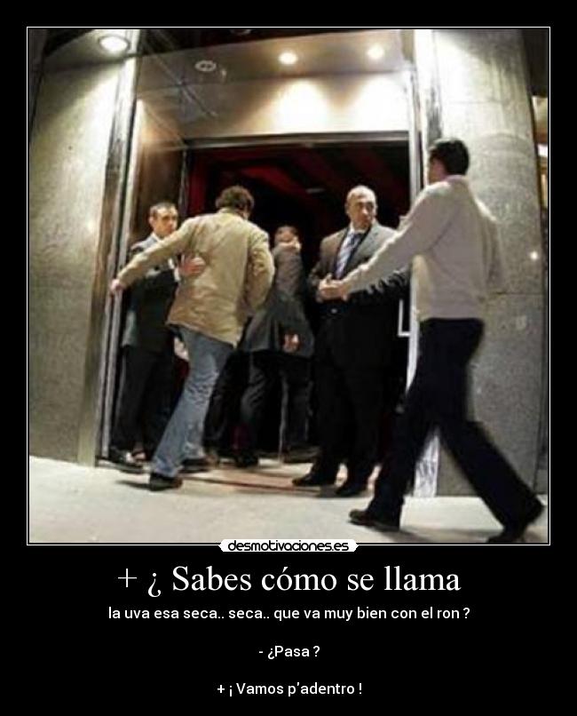 + ¿ Sabes cómo se llama - la uva esa seca.. seca.. que va muy bien con el ron ?
- ¿Pasa ?
+ ¡ Vamos padentro !