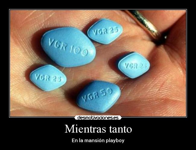 carteles playboy viagra pastillas azules mansion desmotivaciones