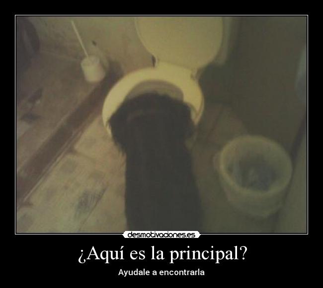 ¿Aquí es la principal? -