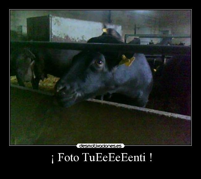 ¡ Foto TuEeEeEenti ! -