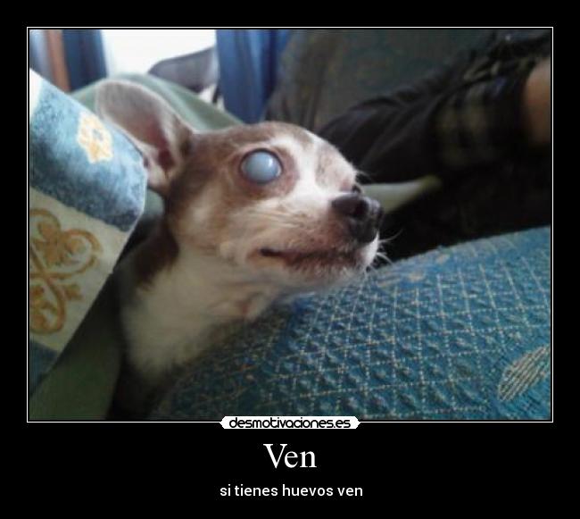 Ven -