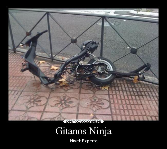 Gitanos Ninja -