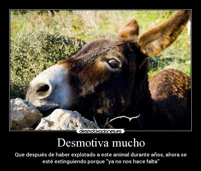 Desmotiva mucho - 