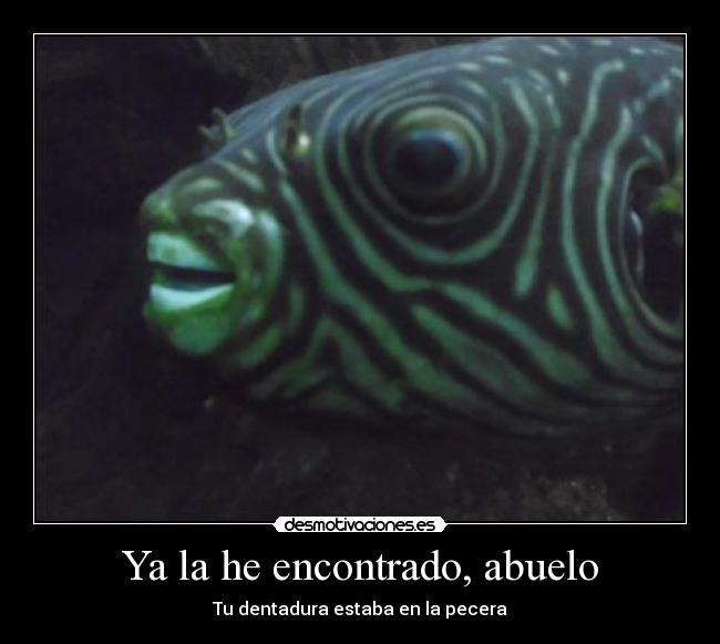 Ya la he encontrado, abuelo - 