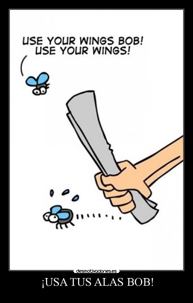 ¡USA TUS ALAS BOB! -