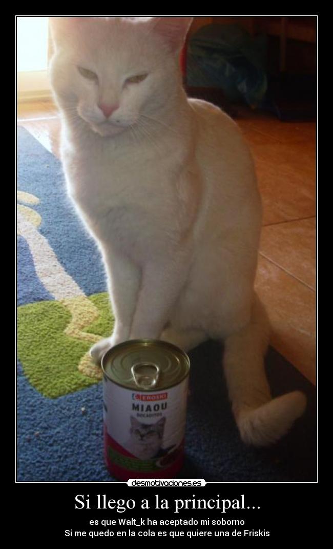 Si llego a la principal... -