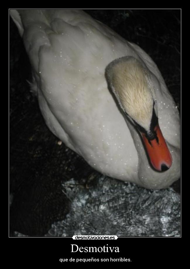 Desmotiva - que de pequeños son horribles.